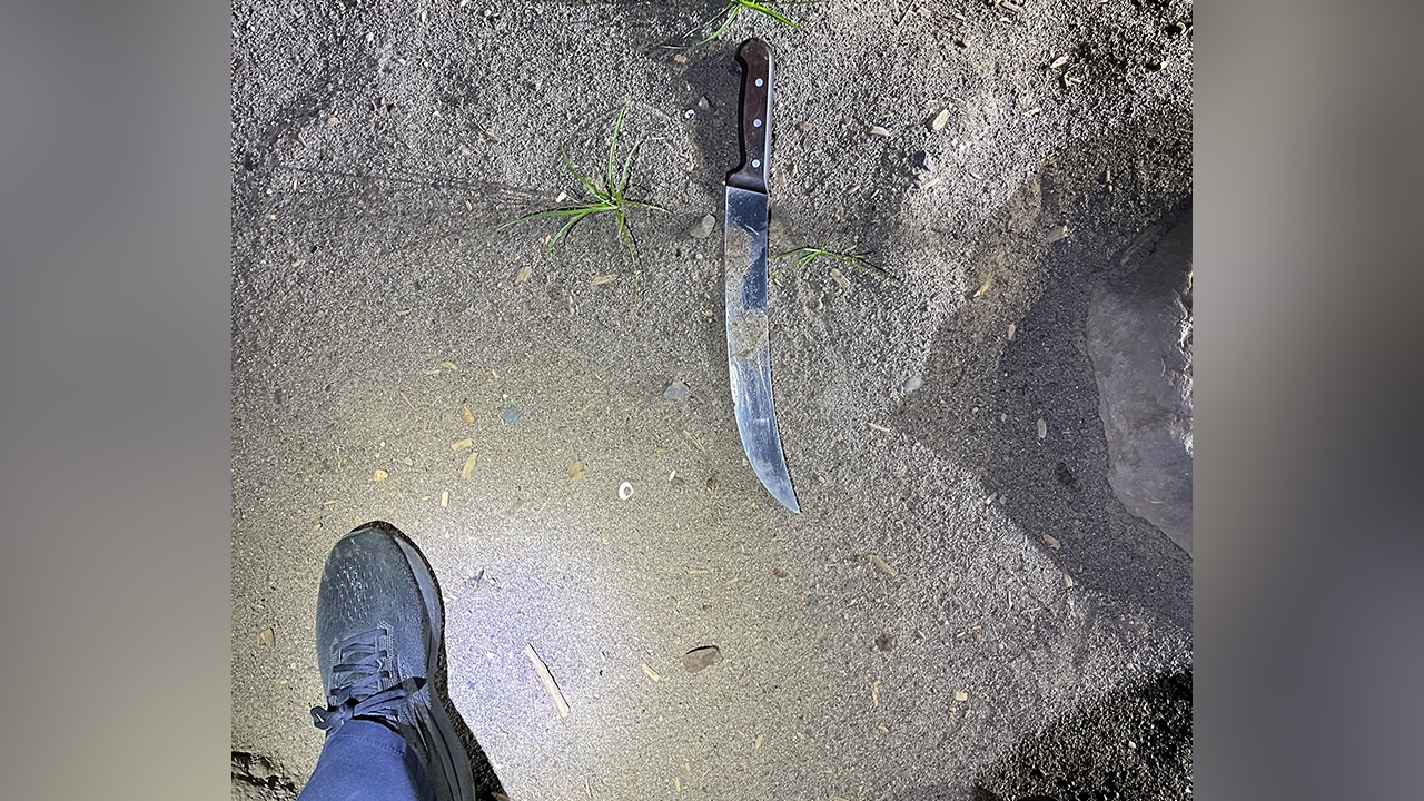 Multiple arrests after violent mob attacks Portland ICE facility with fireworks and knives