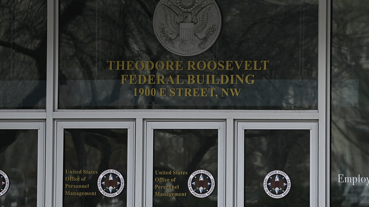 Judge restricts DOGE access to federal databases, finding 'breach of law and trust'