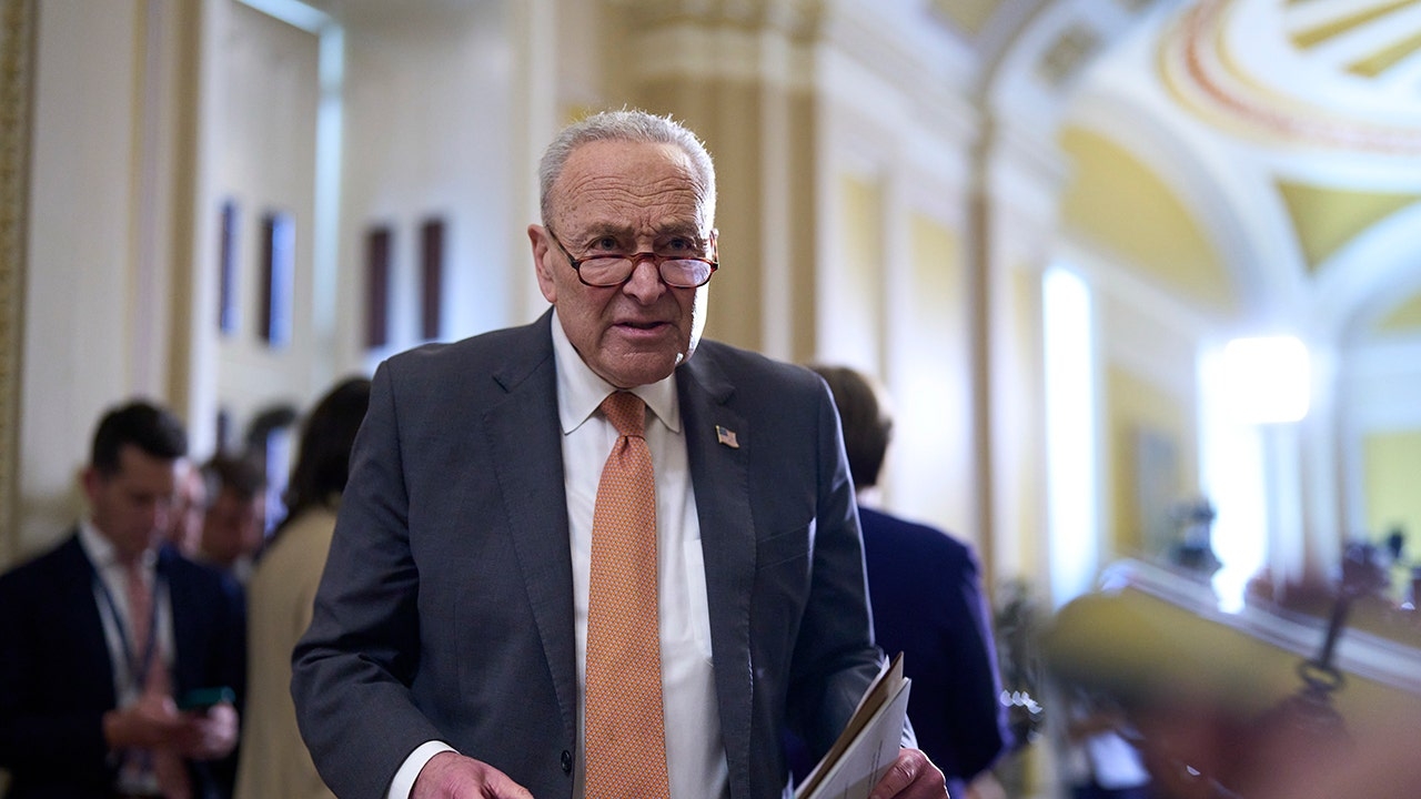 Schumer warns Trump budget bill Medicaid cuts could jeopardize GOP senators: 'We Are All Going to Die Act'