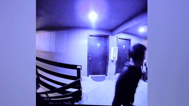 Suspected Tren de Aragua gang members terrorize apartment complex in shocking doorbell video