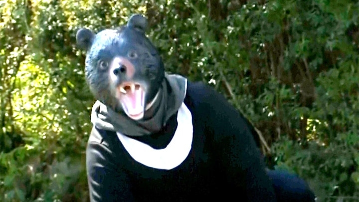 Police officials host 'bear drills' following string of bear attacks