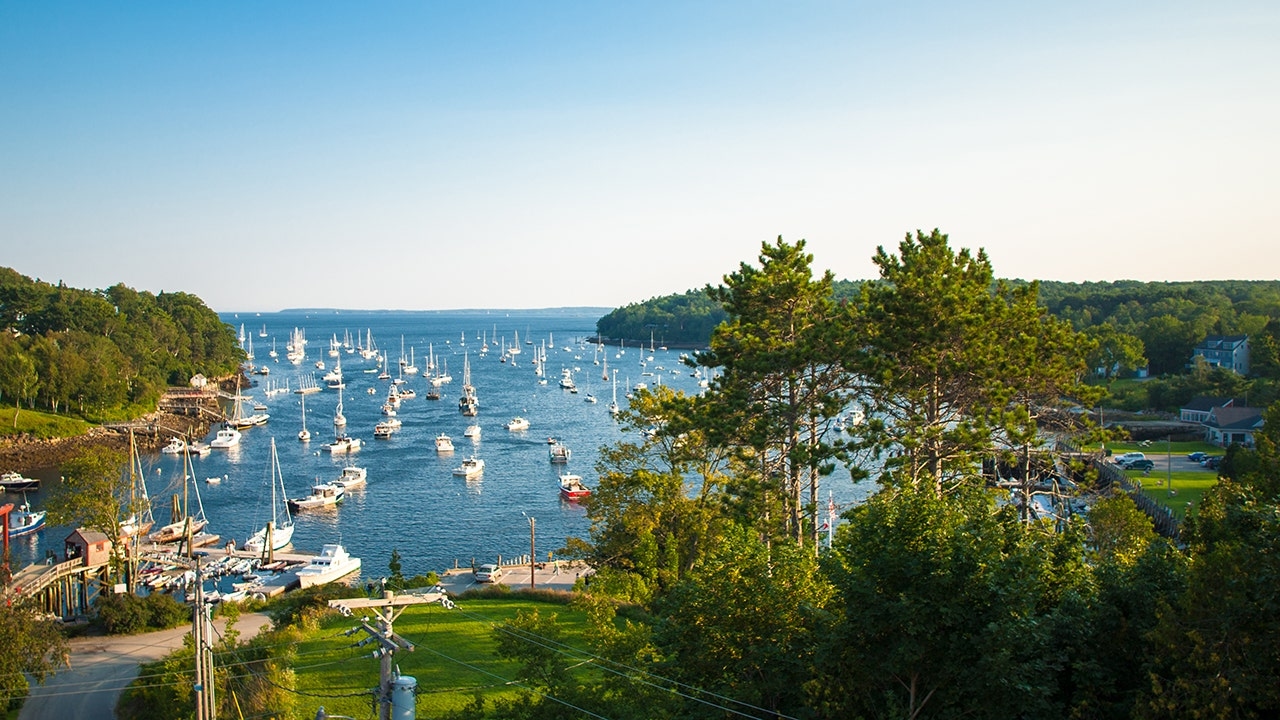 Paddleboarder's mysterious killing rocks quiet summer vacation area