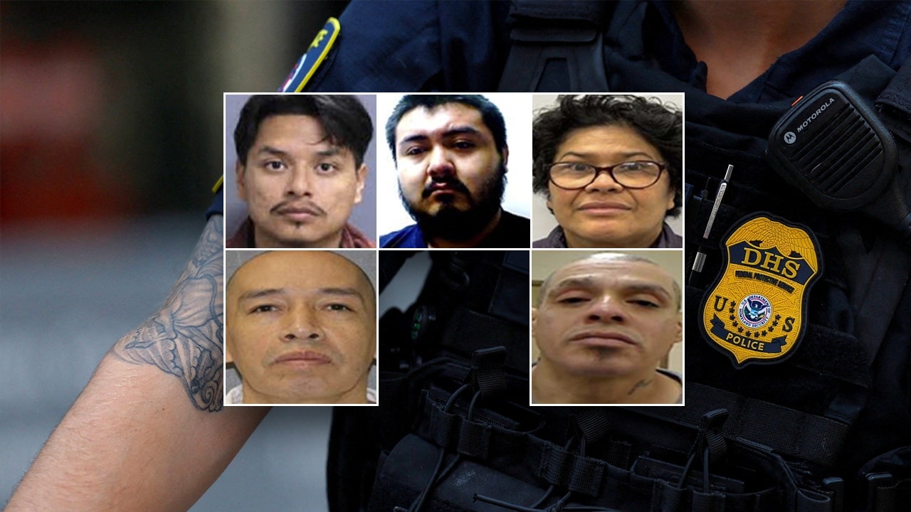 ICE hauls in illegal immigrants convicted of child crimes in nationwide Wednesday sweep: 'clear message'