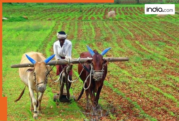 PM Kisan 20th installment BIG Update: 20th installment releasing in…, check who can get PM-KISAN benefits, how to apply as new farmer and other details