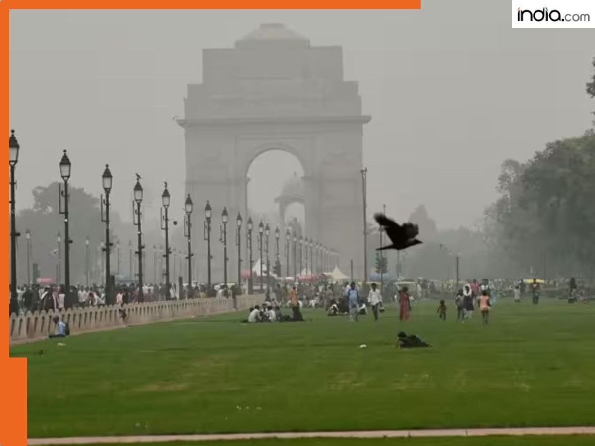 Delhi weather update: Thunderstorms, gusty winds bring relief for Delhi residents, IMD predicts...;Check forecast