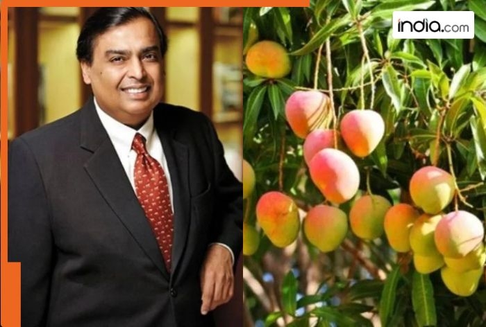 India growing Mangoes for 4000 Years, still lagging behind! can Mukesh Ambani's ‘Amnagar' be game changer?