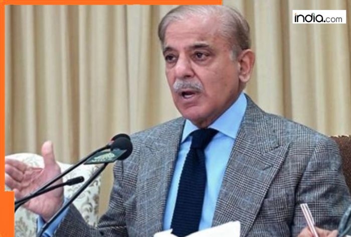 More bad news for bankrupt Pakistan, Shehbaz govt decides to sell one of country's biggest company, the company is...