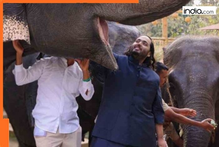 Price of Mukesh Ambani, Nita Ambani's son Anant Ambani's Vantara project is Rs...., the mega safari covers area of...