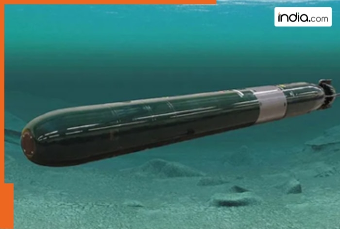 These weapons can cause massive destruction under water in seconds, only two countries have them, one is India's...