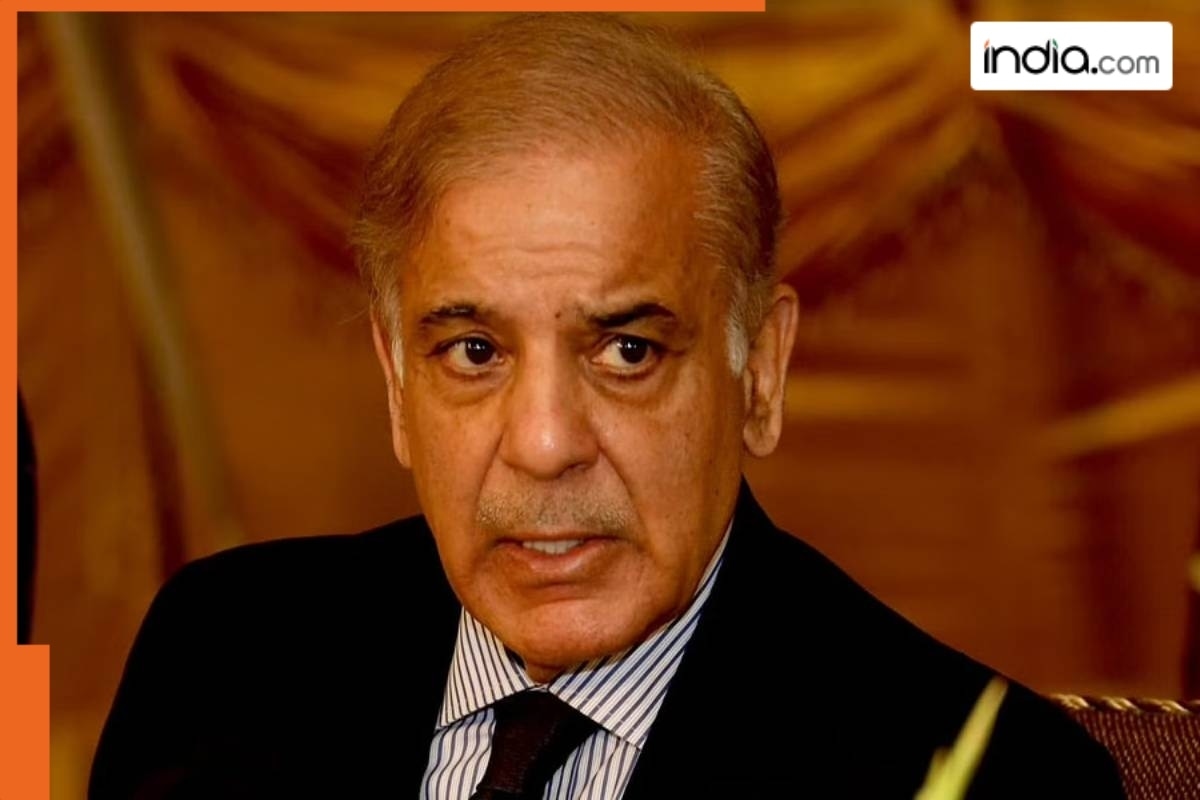 Weeks after Operation Sindoor, Pakistan PM Shehbaz Sharif makes big statement on Islamabad's nuclear programme, says...