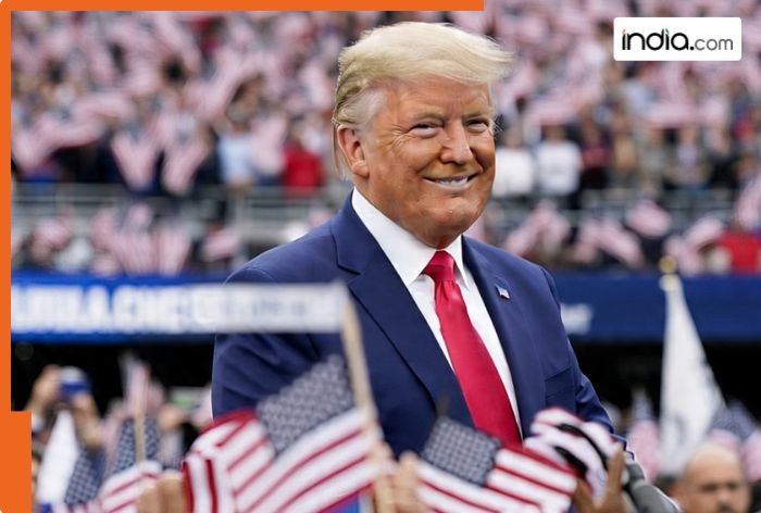 Donald Trump richer than Mukesh Ambani, Adani, Musk, Bezos? Trump reveals his financial assets, earns Rs 5000000000 from crypto alone, his income from India is…