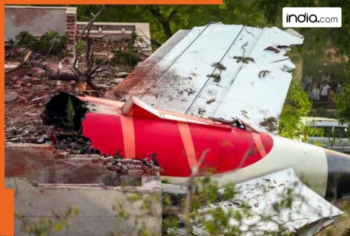 Ahmedabad plane crash: What caused the horrific crash of Air India plane? Engine failure, bird hit or...