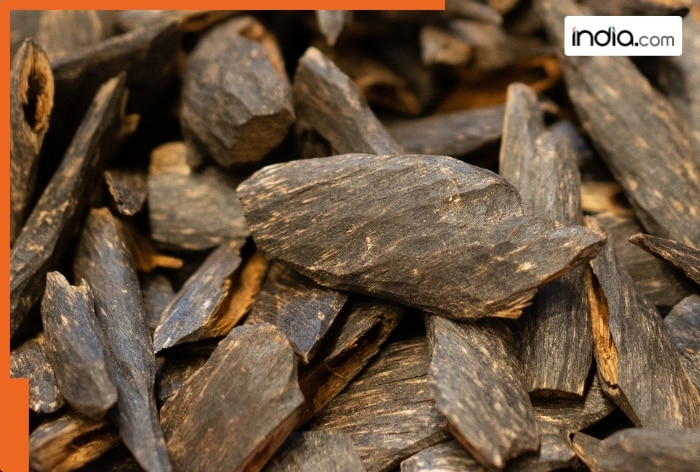 World's most expensive wood, costs more than gold and silver, not red sandalwood, it's found in..., priced at Rs...