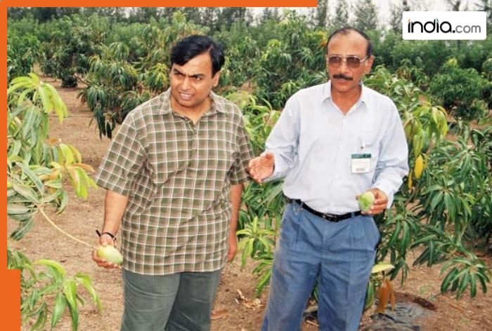 Mukesh Ambani owns Asia's largest mango orchard, over 200 varieties of mangoes are grown here, it is located.., it is named..