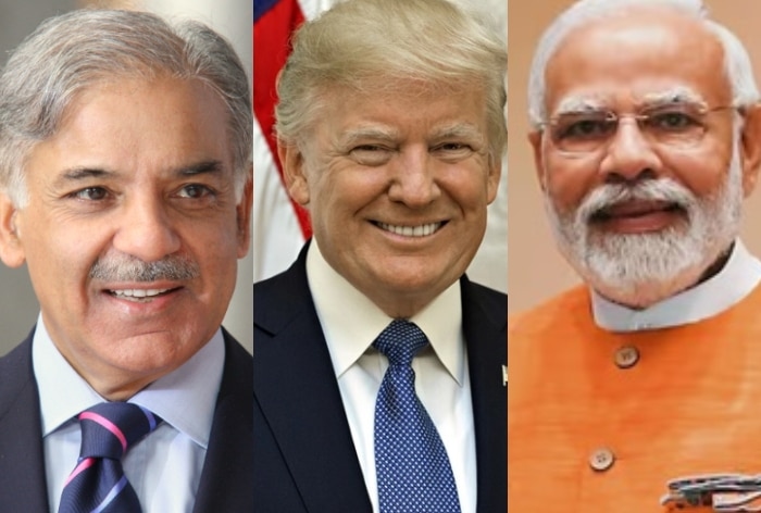 Pakistan hits JACKPOT due to Trump's tariff, set to become rich, Indian farmers may suffer due to..., may decide to switch to...