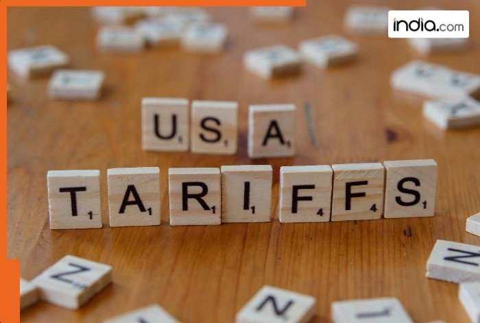 India facing tough choices against US tariffs, has limited options; says expert, adds, 'US will be forced to...'