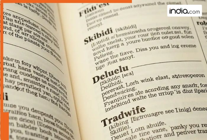 Do you know the meaning of Skibidi, Delulu, and Tradwife? These new words are now part of Cambridge Dictionary; Here's what they mean