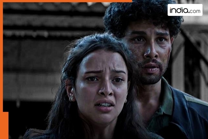 Dhadak 2 box office collection Day 4: Siddhant and Tripti's film fails Monday test, earns just Rs...