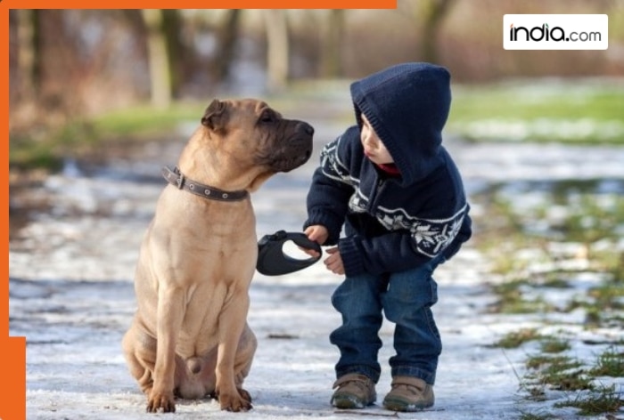 This country has the most dogs in the world, China stands third, Russia fifth, the country is..., India's numbers will surprise you...