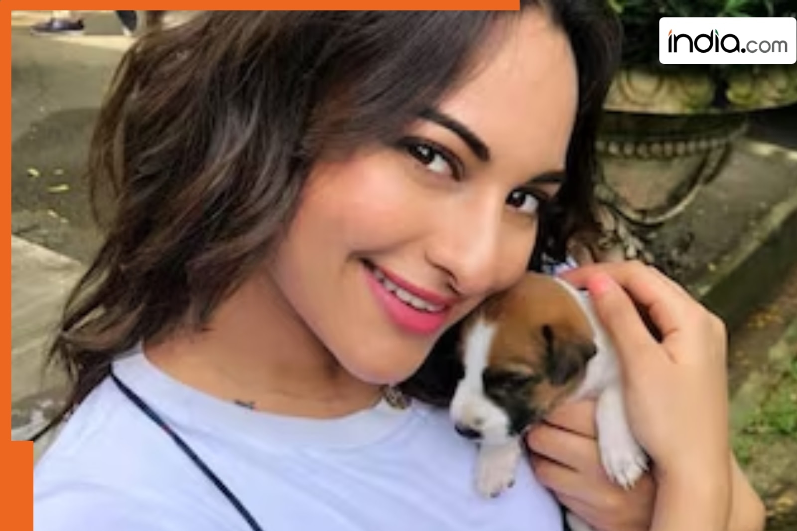 Sonakshi Sinha, Zeenat Aman, Rupali Ganguly criticize SC's order on stray dog removal in Delhi