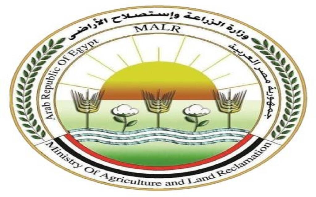 الزراعة المصرية تصدر توضيحاً بشأن نفوق الأسماك في مزارع بحيرة المنزلة