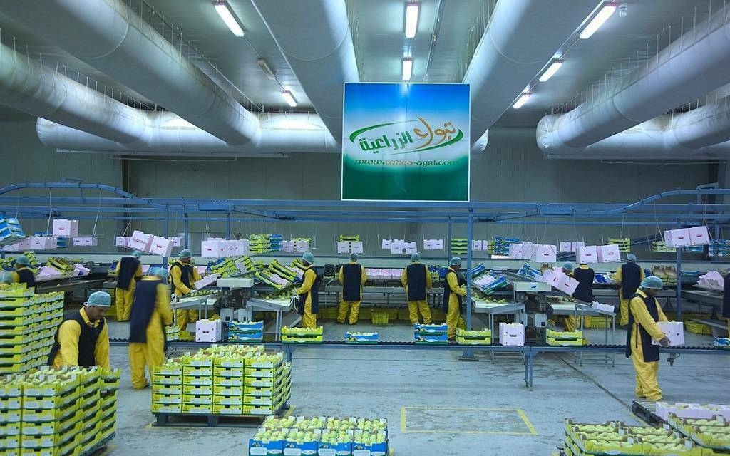 "تبوك الزراعية" تقلص خسائرها 23% في الربع الأول بدعم من نمو الإيرادات