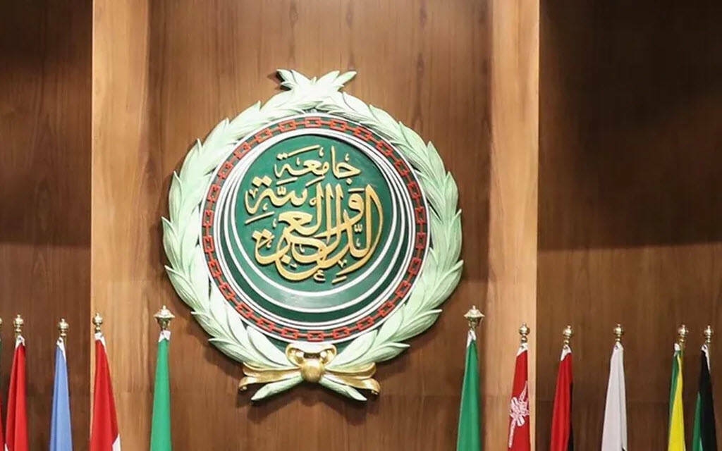 مصر: هناك محاولات لتزييف الحقائق وإحداث انقسامات بين الشعوب العربية