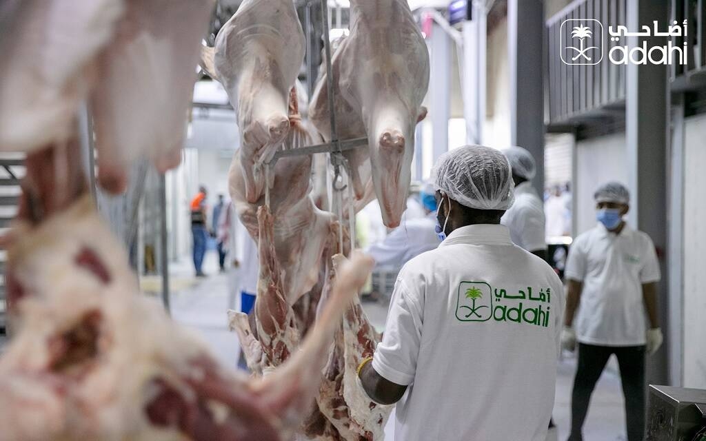المشرف على مشروع "أضاحي": بيع أكثر من 811 ألف رأسًا في يوم النحر
