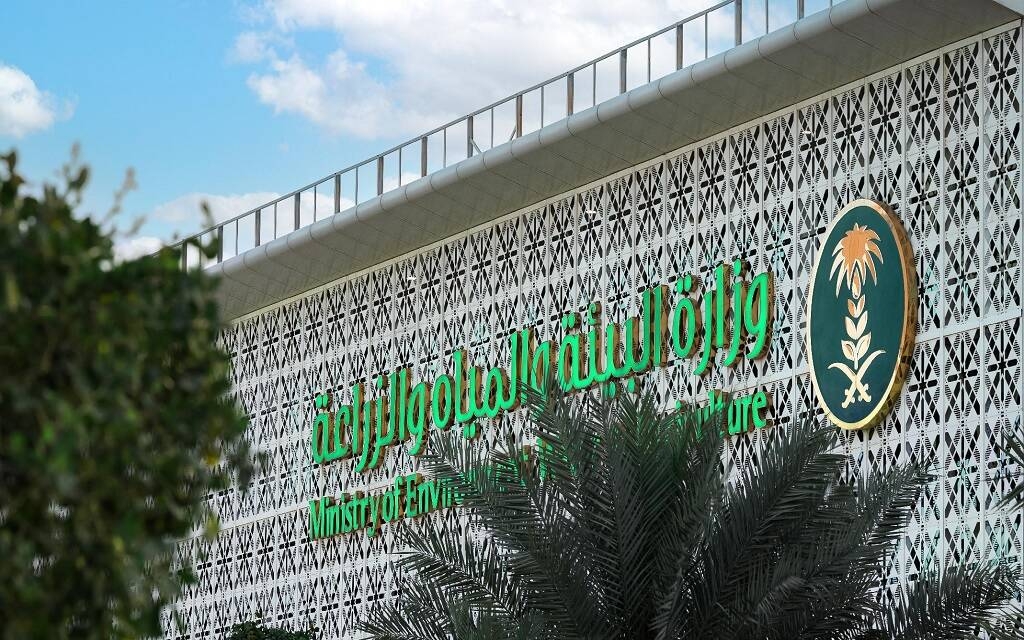 السعودية.. زراعة 115 مليون شجرة وإعادة تأهيل 313 ألف هكتار من الأراضي المتدهورة