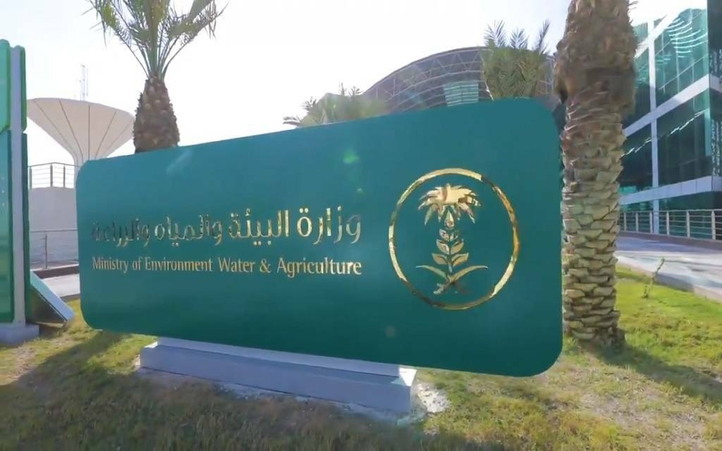 وزارة الزراعة تطلق خدمة إصدار تراخيص "التربية الريفية للدواجن"