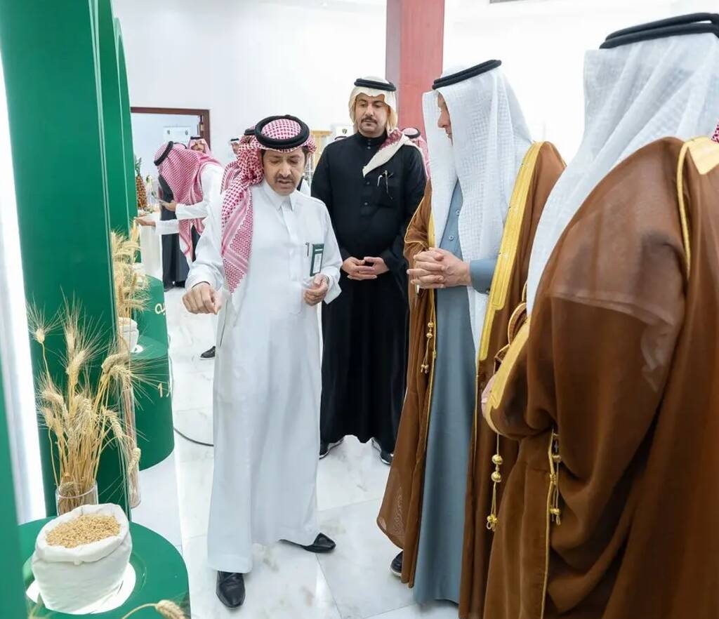 وزير البيئة يدشن 3 أصناف عالية الإنتاجية من القمح لتغطية الاستهلاك المحلي