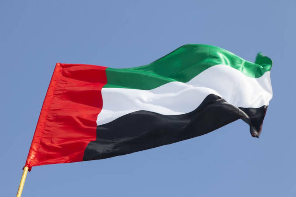 44% من المساعدات الدولية لغزة إماراتية.. وعمليات الإغاثة تتواصل جواً