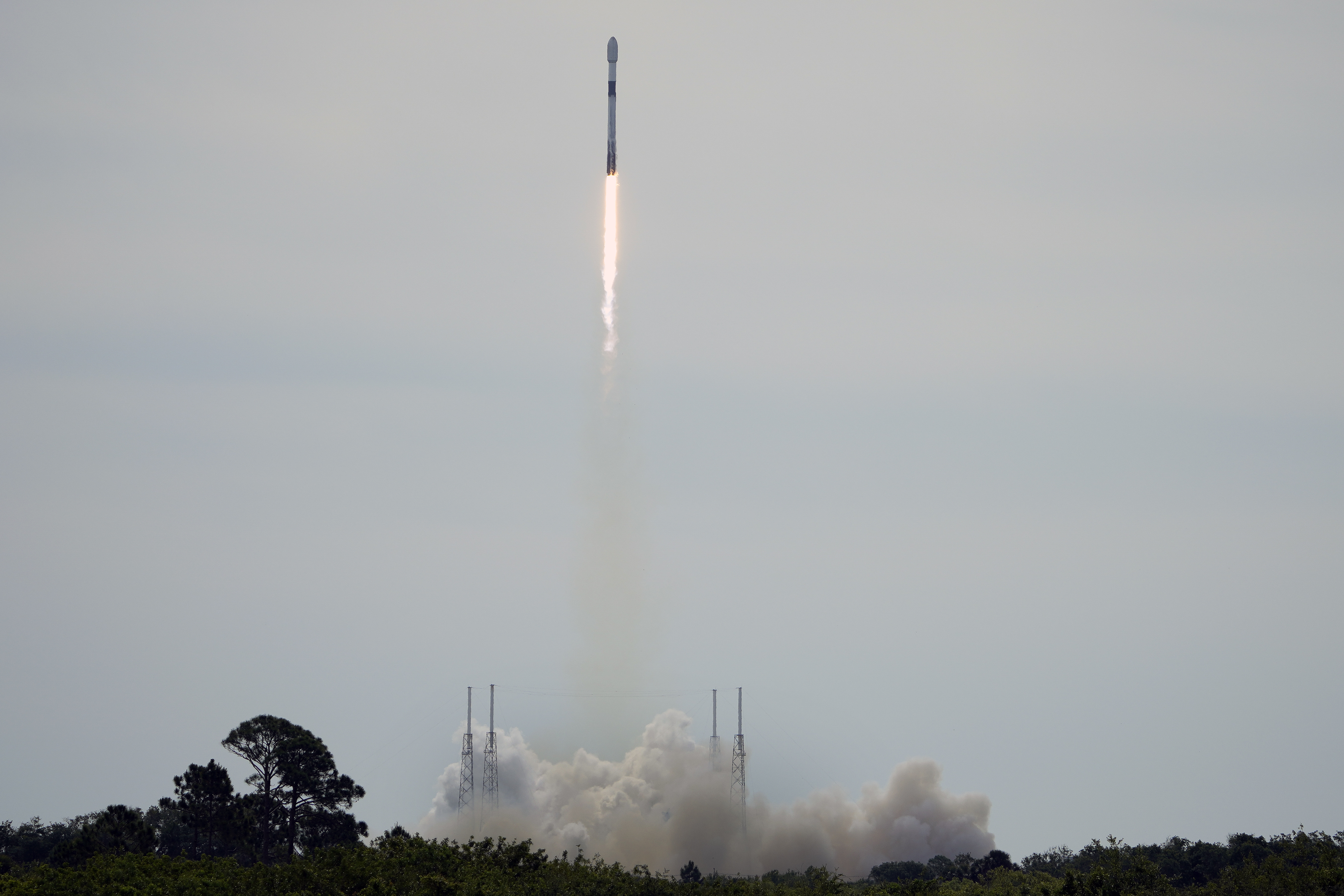 The global impact of Trump vs. Musk