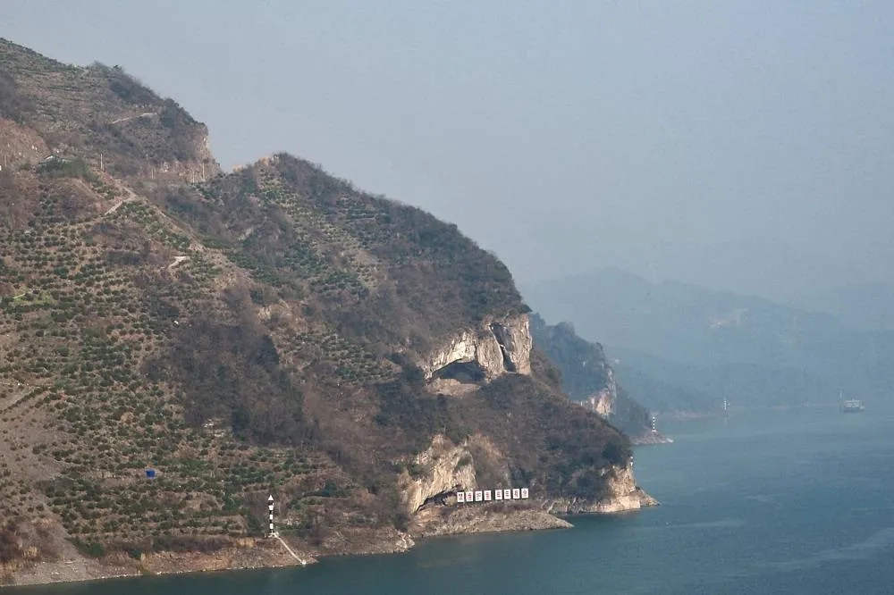 A Cliff That Looks Like a Puppy Resting Beside the Yangtze River Delights People in China