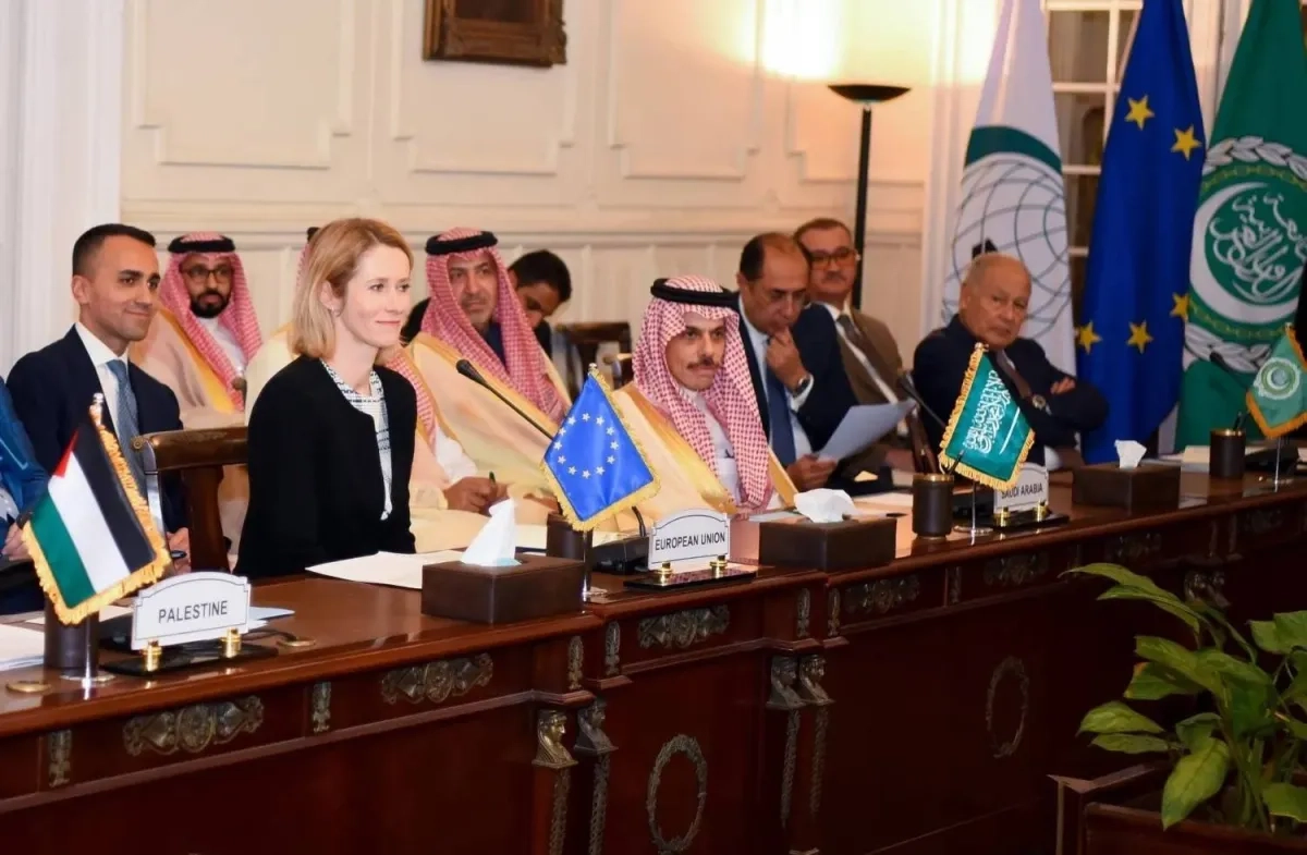 Arab-Islamic Ministerial Committee Calls for Immediate Ceasefire, Gaza Reconstruction