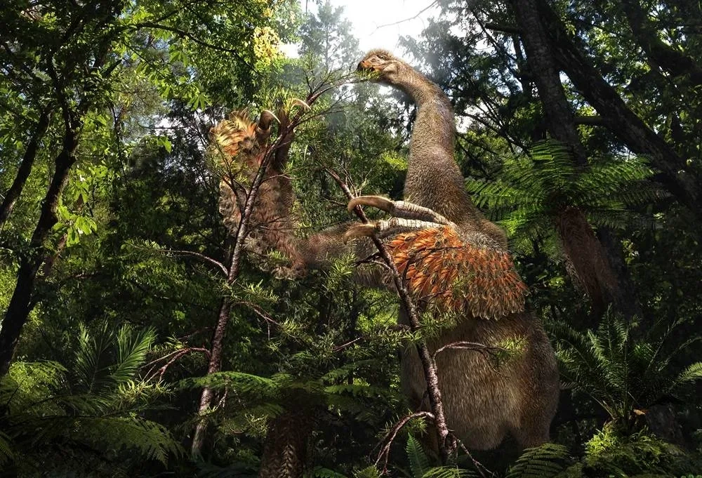 Weird Mongolian Dinosaur Wielded ‘Big, Sharp and Nasty' Claws