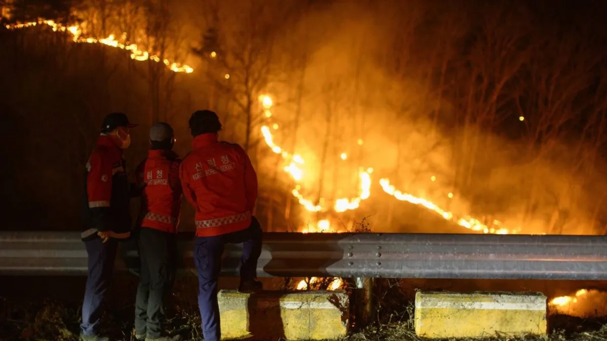 South Korea Firefighters Deploy Helicopters as Wildfires Reignite