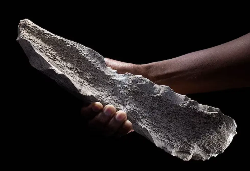 Tools Made from Elephant, Hippo Bones Show Ingenuity of Human Ancestors