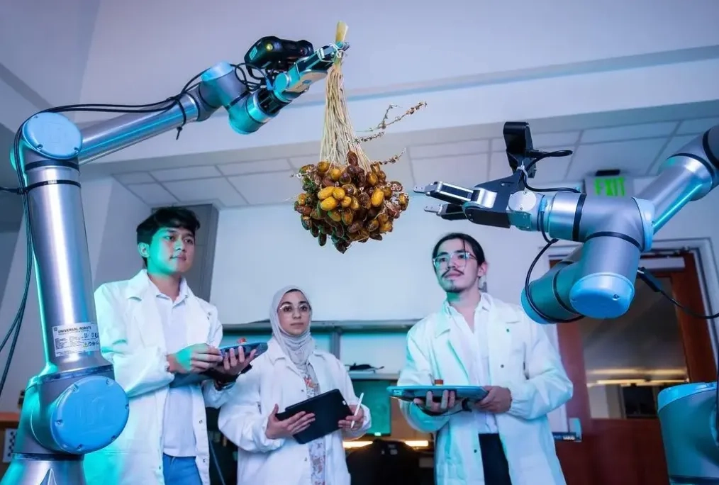 KAUST Develops Robotic System to Improve Date Palm Harvesting