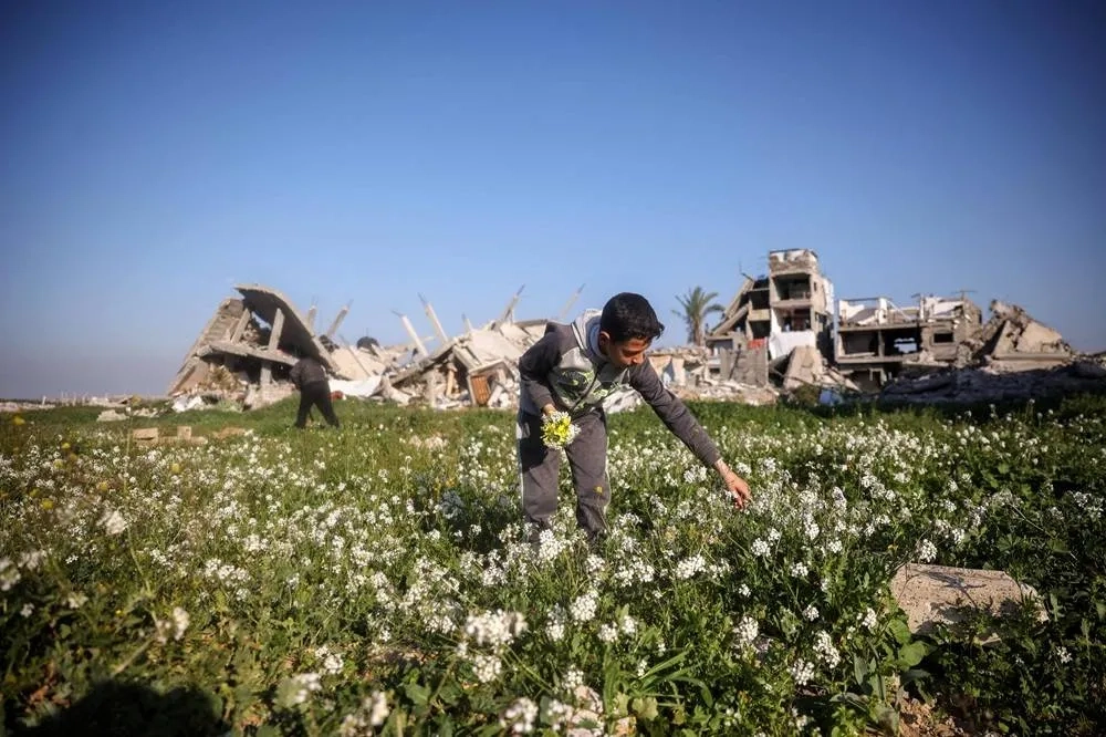 Somalia and Somaliland Say No Talks on Resettling Palestinians from Gaza