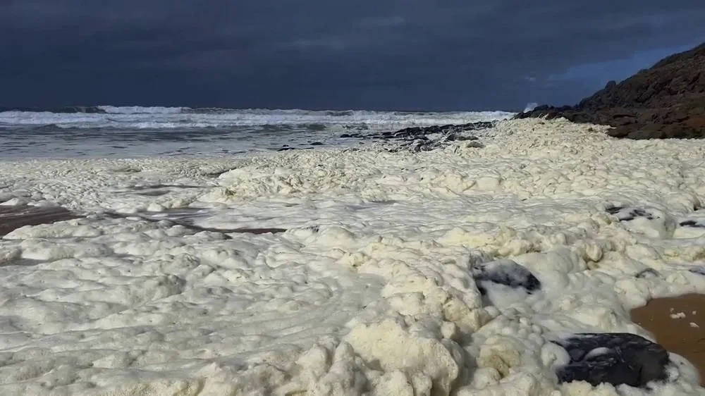 Strange Foam and Dead Fish Wash Ashore at 2 Australian Beaches as Surfers Fall Sick