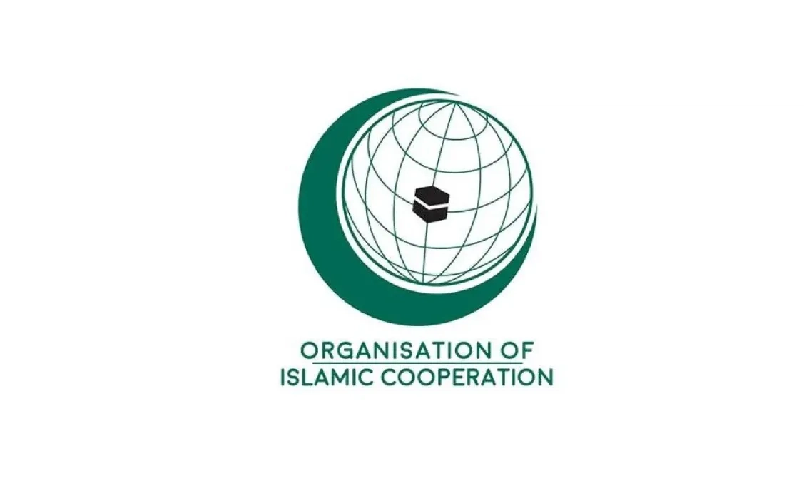 OIC Condemns Attack on Somali President's Convoy