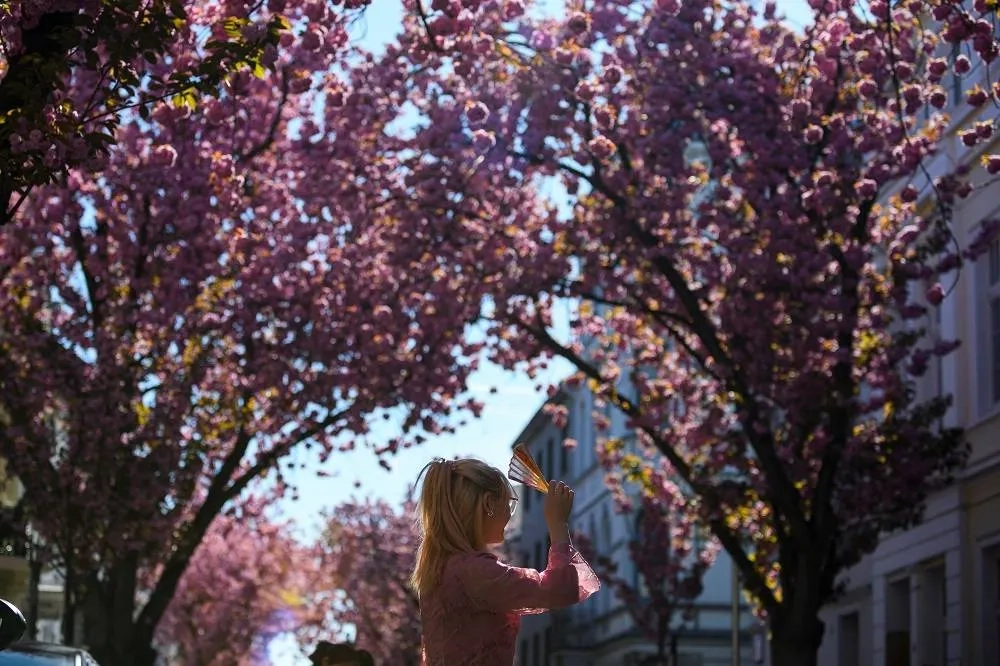 Europe Just Had Warmest March on Record