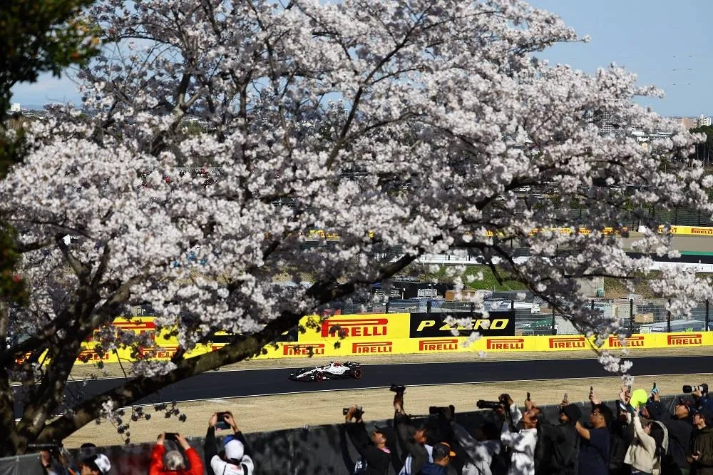 AI Tool Aims to Help Conserve Japan's Cherry Trees