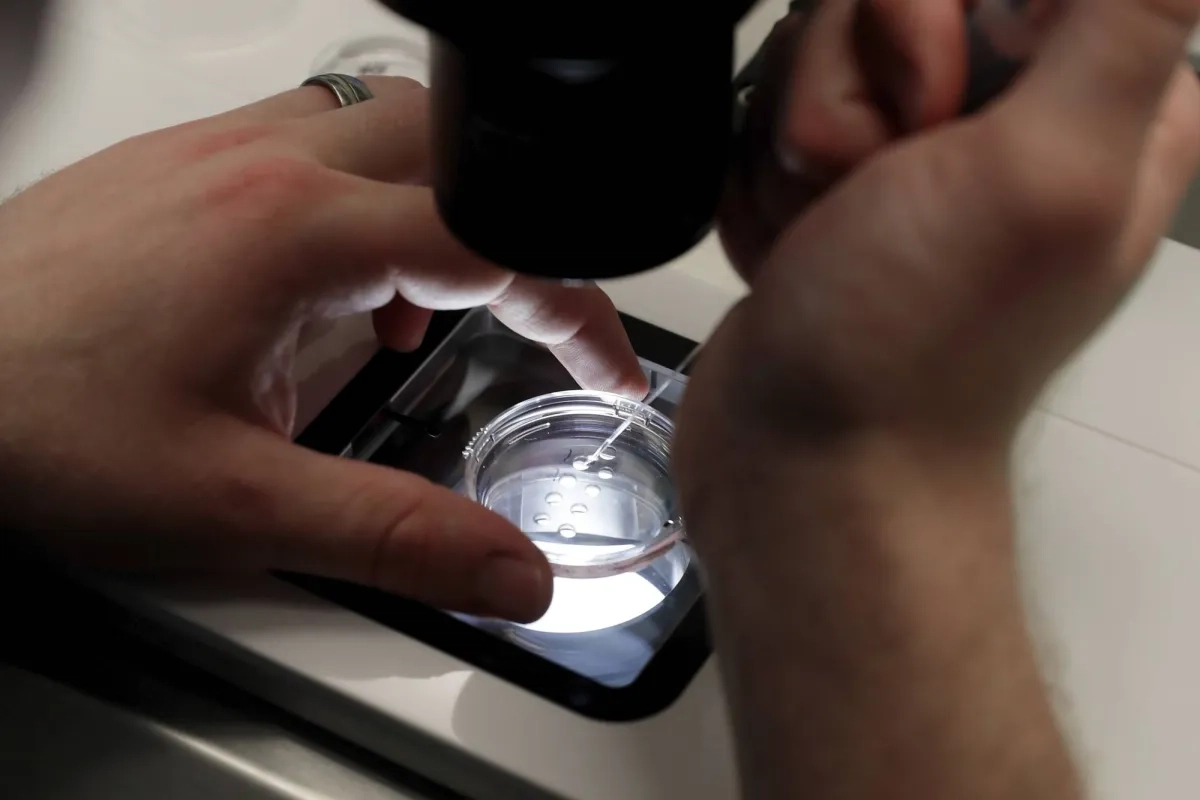 Australian Woman Unknowingly Gives Birth to a Stranger's Baby after IVF Error