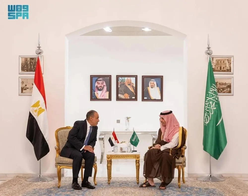 Saudi, Egyptian FMs Co-Chair Political Consultation Committee