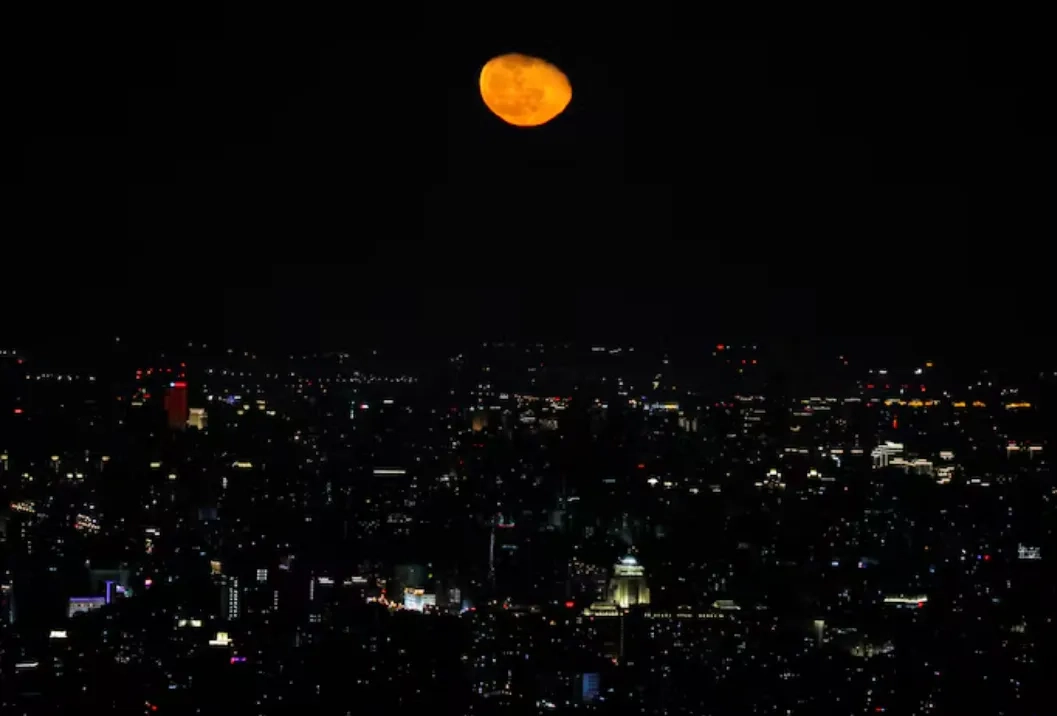 China, Russia May Build Nuclear Plant on Moon to Power Lunar Station, Official Says