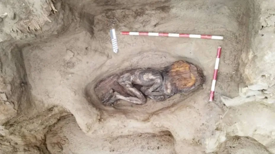 Rare Mummy Reveals Women's Important Role in Oldest Center of Civilization in the Americas