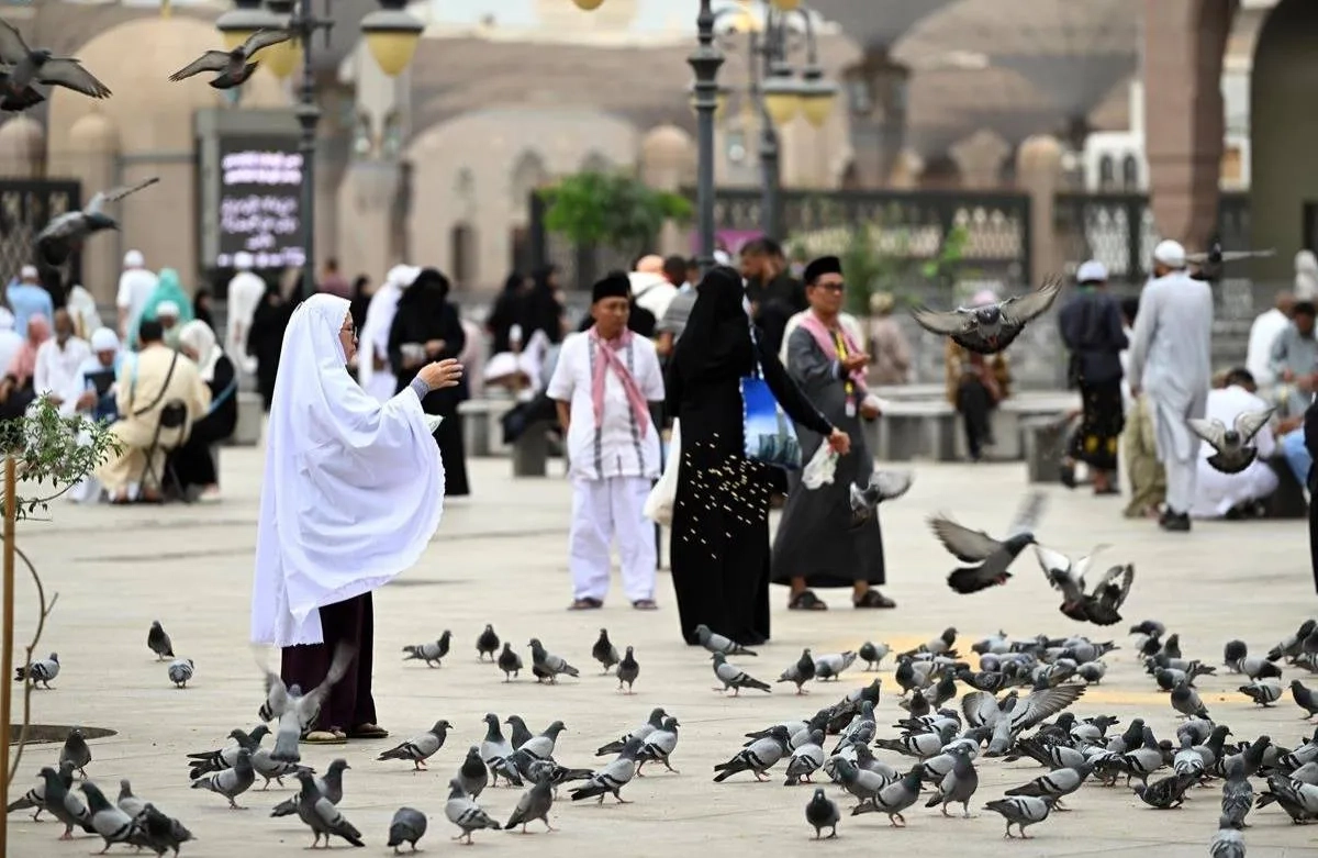 المدينة المنورة تسجل 15 مليار دولار ناتجاً محلياً في الربع الثالث من 2024 بنمو 2.8 %
