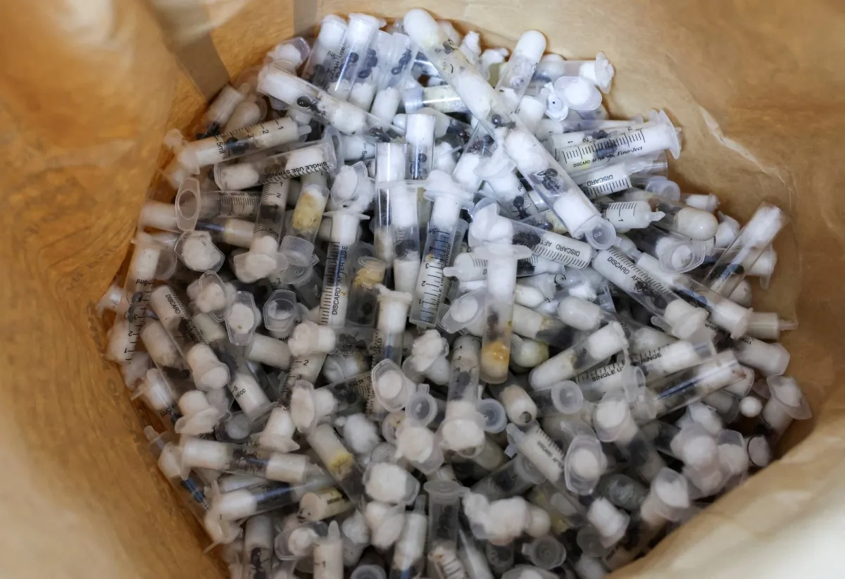 Kenya Court Convicts 4 Ant Traffickers, Including Belgian Teens, Fines Each $7,700